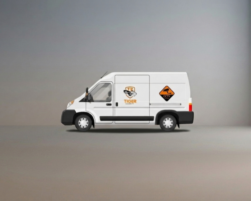 tiger-camera-cctv1